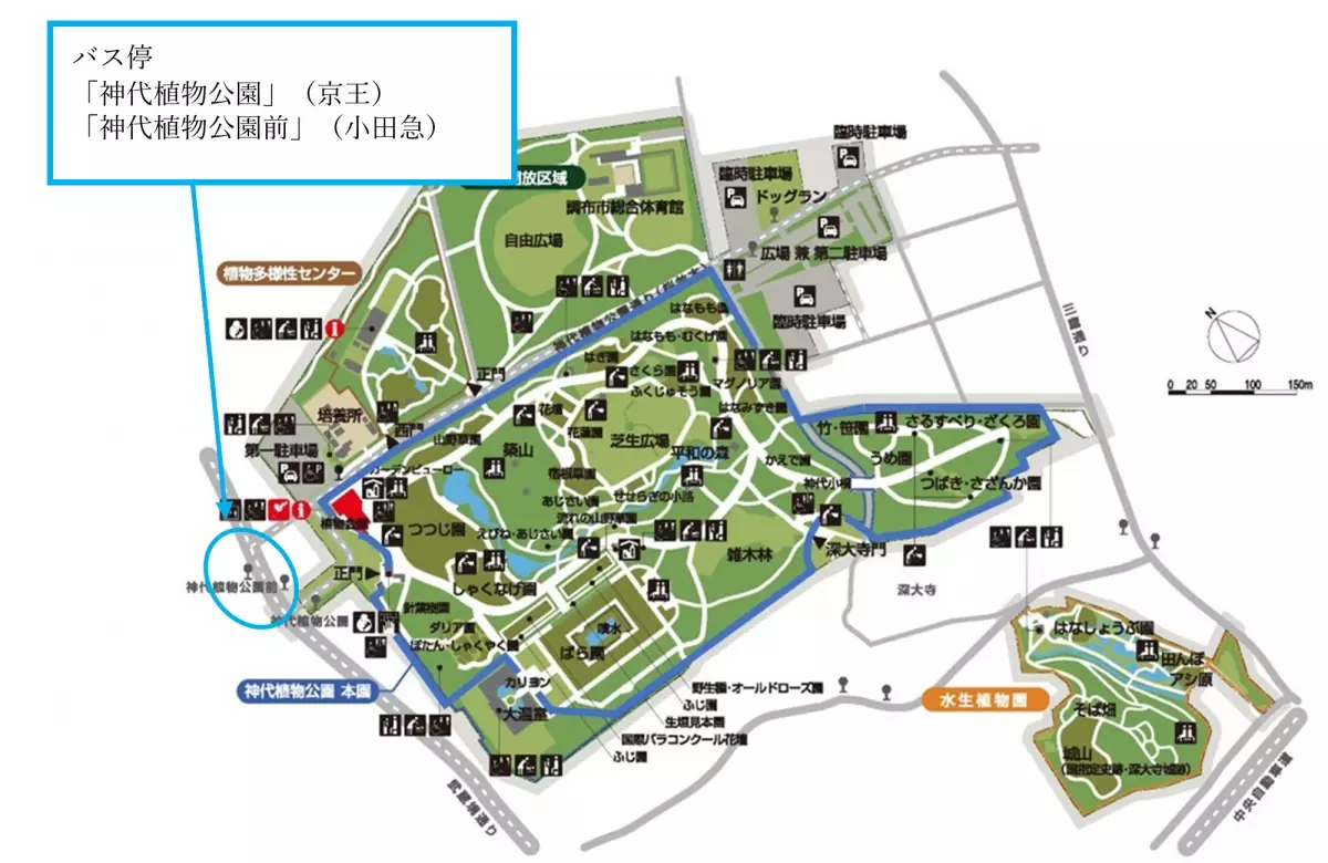 特別な場所で最高の思い出に。神代植物公園ウェディングフォトプラン11月1日～3月15日まで期間限定販売！