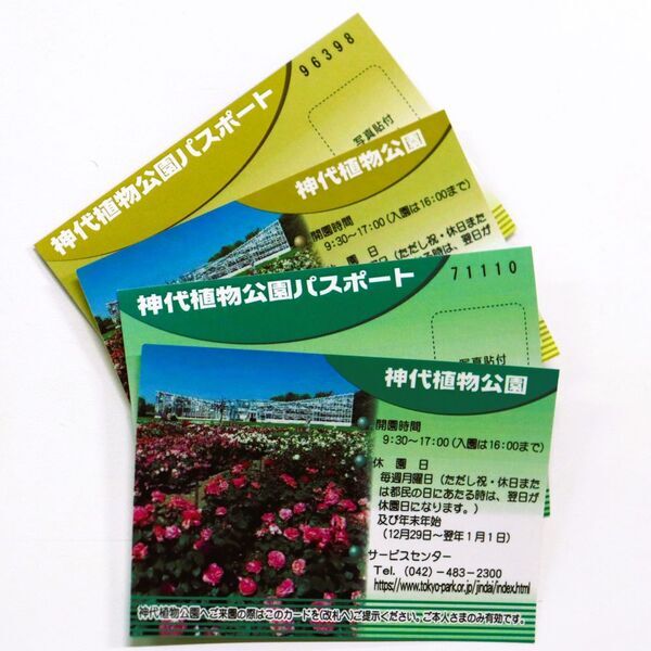 特別な場所で最高の思い出に。神代植物公園ウェディングフォトプラン11月1日～3月15日まで期間限定販売！