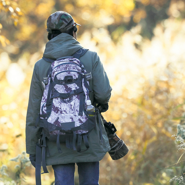 【北海道発】シマエナガと「おじちゃん」のやりとりに心がゆるむ 写真集『シマエナガと交換日記2』12/9発売