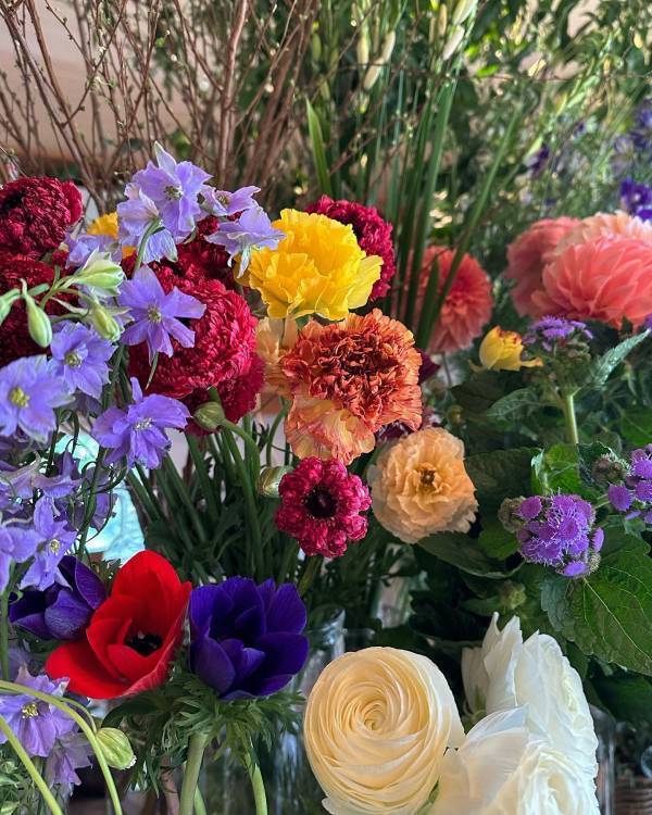 春の植物園を楽しもう！『植物園のガーデンピクニック  at 神代植物公園』3月9・10日開催