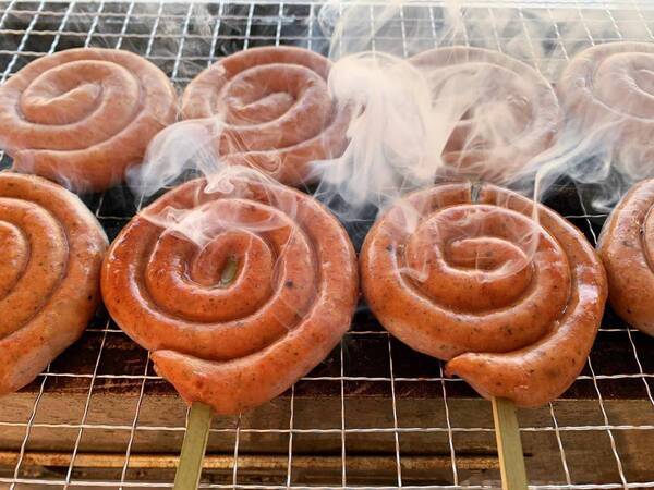 春の植物園を楽しもう！『植物園のガーデンピクニック  at 神代植物公園』3月9・10日開催