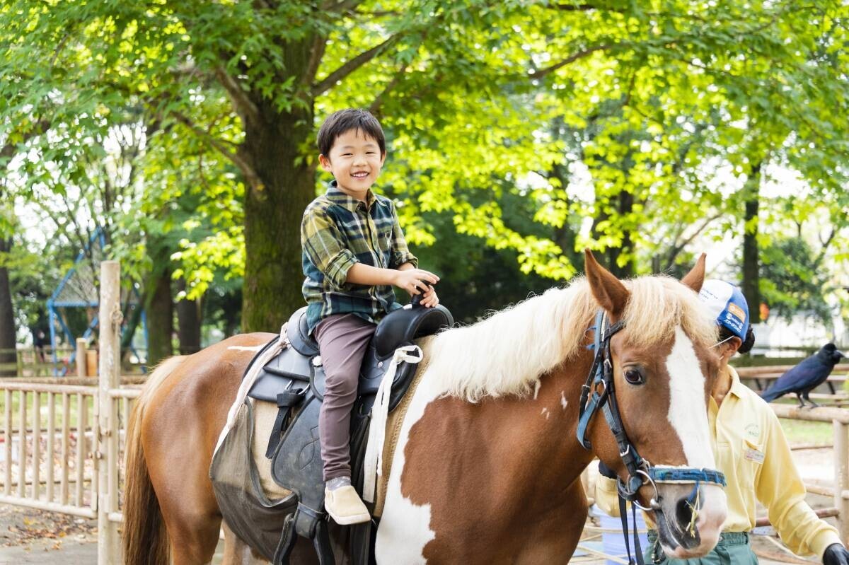 【清水公園】ポニー牧場、リニューアル休場へ