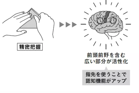 【脳の専門家も太鼓判】脳科学者監修『脳科学でわかった！ ８０歳からでも若返る すごい脳活おりがみ（伊達博充著/西剛志監修）』３万部突破のお知らせ