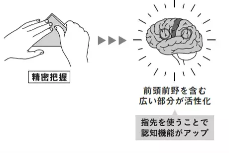 【脳の専門家も太鼓判】脳科学者監修『脳科学でわかった！ ８０歳からでも若返る すごい脳活おりがみ（伊達博充著/西剛志監修）』３万部突破のお知らせ