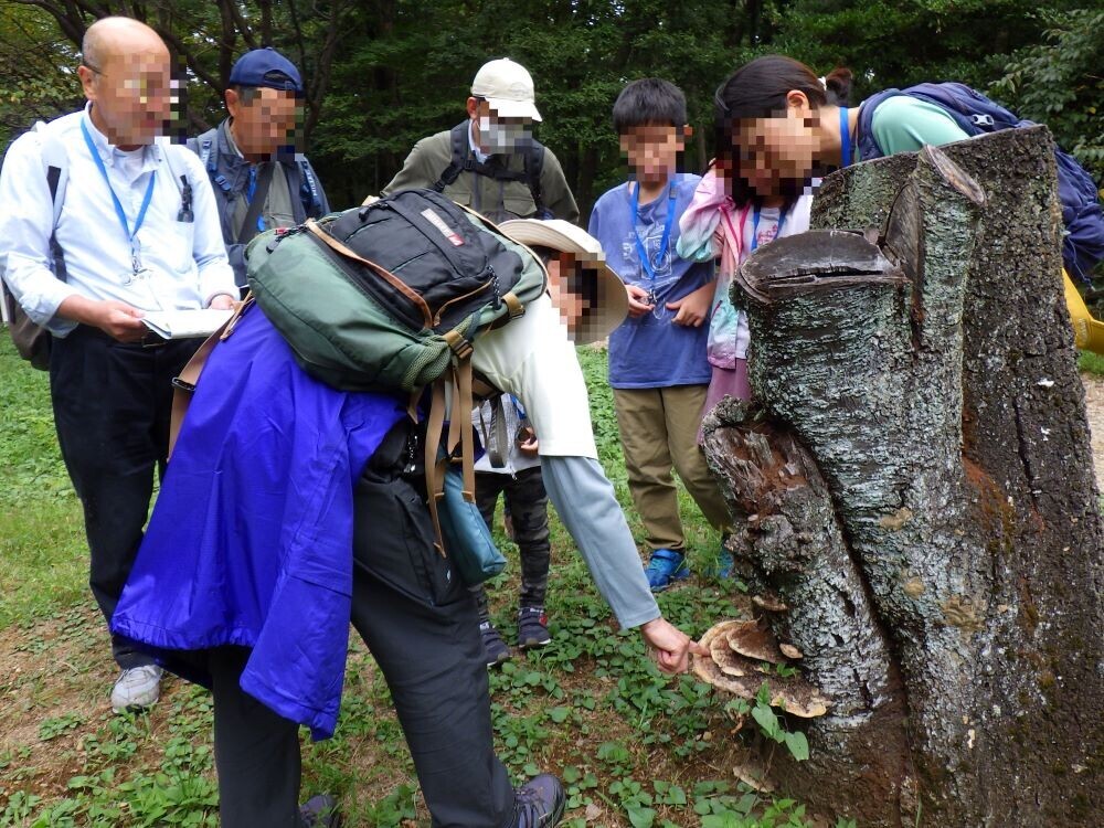 きのこの不思議な魅力に迫る！7月7日(日)長沼公園で「きのこ観察会」開催