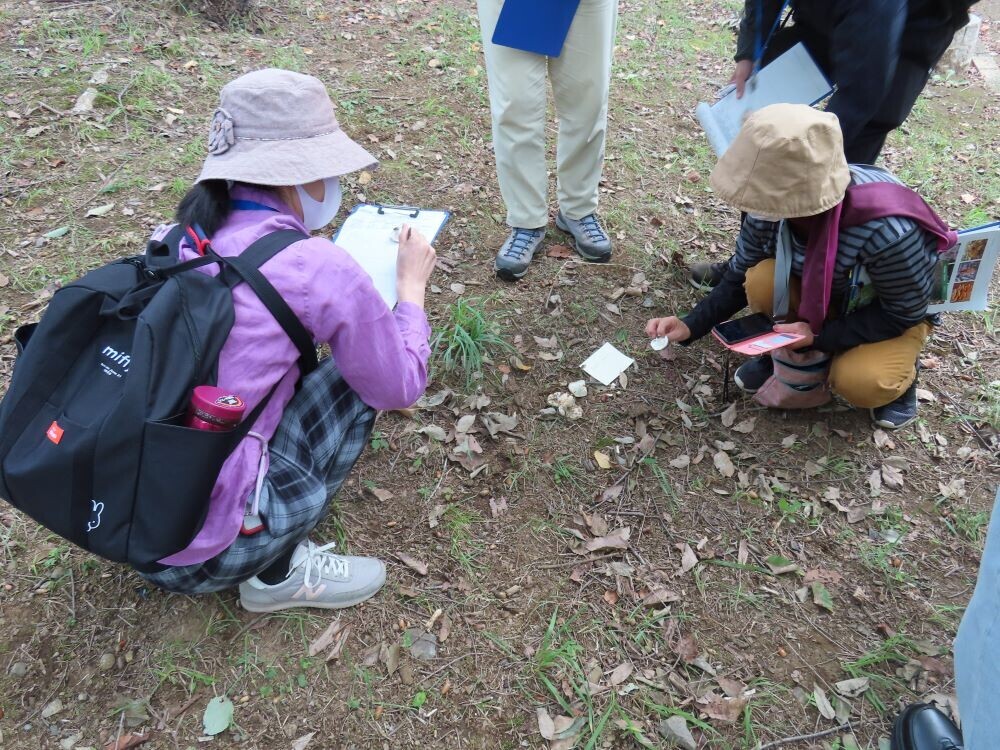 きのこの不思議な魅力に迫る！7月7日(日)長沼公園で「きのこ観察会」開催