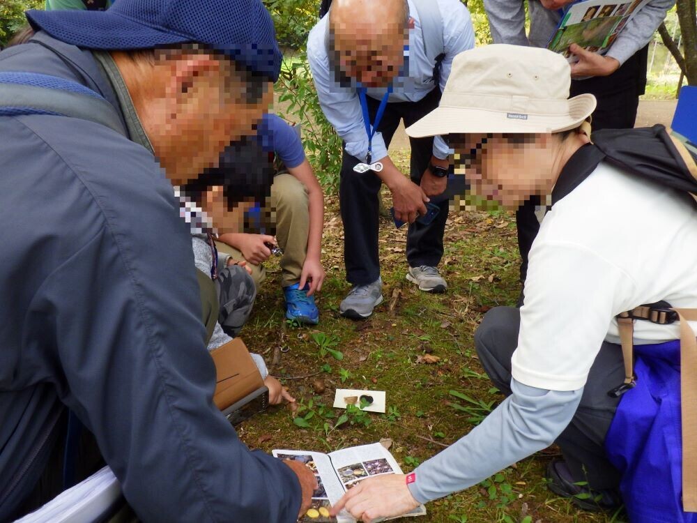 きのこの不思議な魅力に迫る！7月7日(日)長沼公園で「きのこ観察会」開催