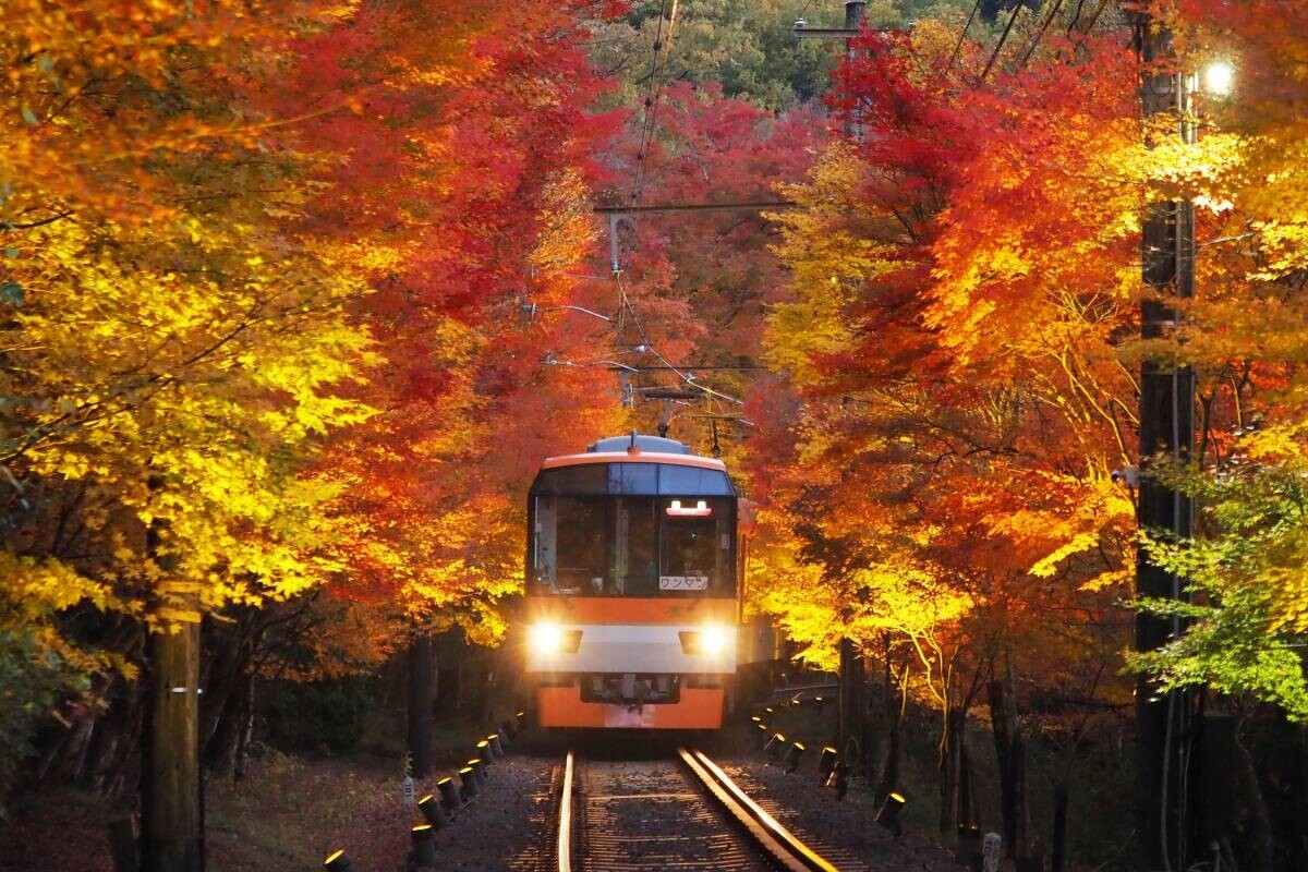 ～ 秋の夜空を彩る紅葉のライトアップ ～ 11月1日（金）～24日（日）に「京の奥座敷・貴船もみじ灯篭」 を開催します