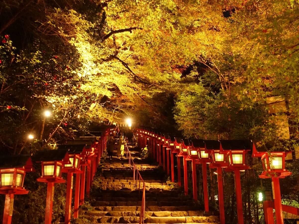 ～ 秋の夜空を彩る紅葉のライトアップ ～ 11月1日（金）～24日（日）に「京の奥座敷・貴船もみじ灯篭」 を開催します