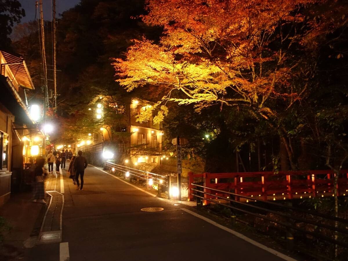 ～ 秋の夜空を彩る紅葉のライトアップ ～ 11月1日（金）～24日（日）に「京の奥座敷・貴船もみじ灯篭」 を開催します