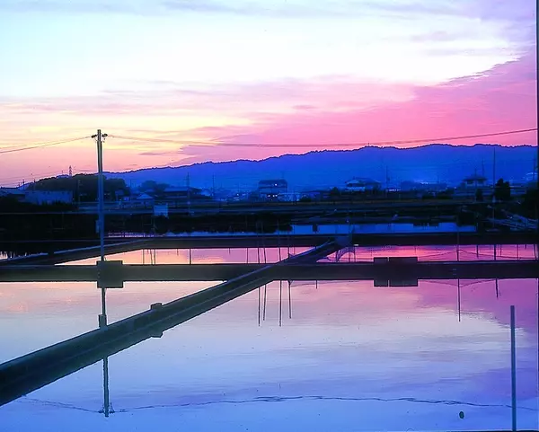 謎解きで金魚すくい！？暑い夏にぴったりの“涼”を感じる謎解きゲーム。金魚伝来300年×市制70周年の奈良県大和郡山市で7/1(月)より開催