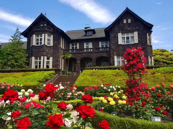 旧古河庭園では春バラ二番花が見ごろ入り！「春のバラフェスティバル」は6/30(日)まで開催しています