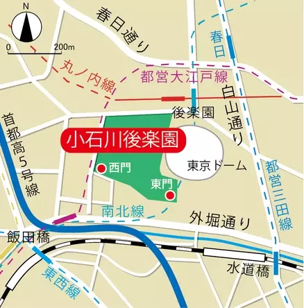 冬の庭園を飾る庭師の技を実演！小石川後楽園で伝統技能見学会「松の雪吊り」11月16日(土)開催