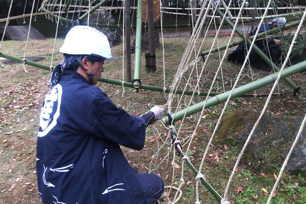 冬の庭園を飾る庭師の技を実演！小石川後楽園で伝統技能見学会「松の雪吊り」11月16日(土)開催