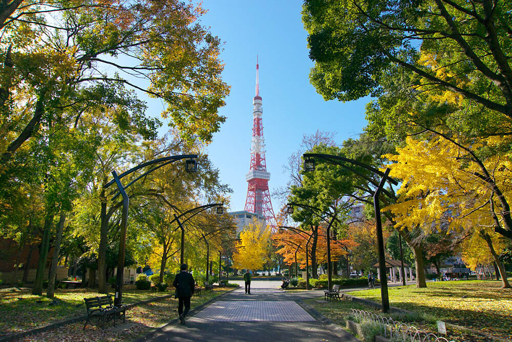 紅葉の見ごろを迎えた都立芝公園で「日本文化」の魅力を体感！12/14(土)「おもてなしの庭 ～日本庭園を愉しむ～」を開催