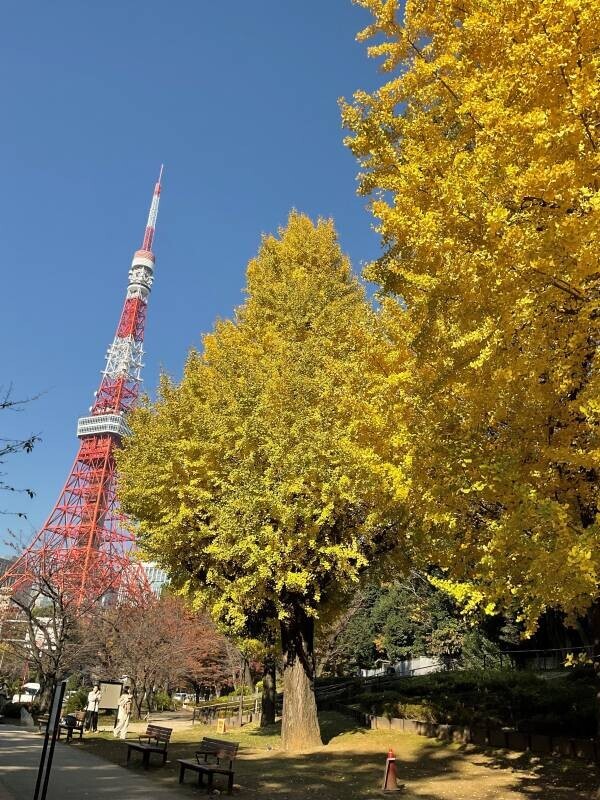 紅葉の見ごろを迎えた都立芝公園で「日本文化」の魅力を体感！12/14(土)「おもてなしの庭 ～日本庭園を愉しむ～」を開催