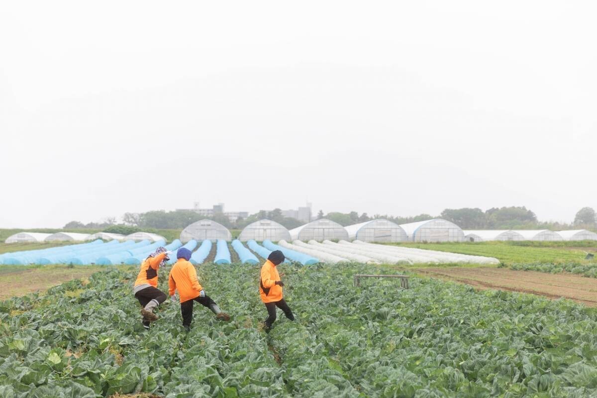 温泉リゾート×地元の野菜農家『一の坊ファーム』始動！自分たちで育てた野菜をお料理に。