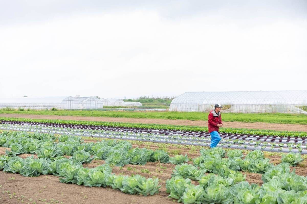 温泉リゾート×地元の野菜農家『一の坊ファーム』始動！自分たちで育てた野菜をお料理に。