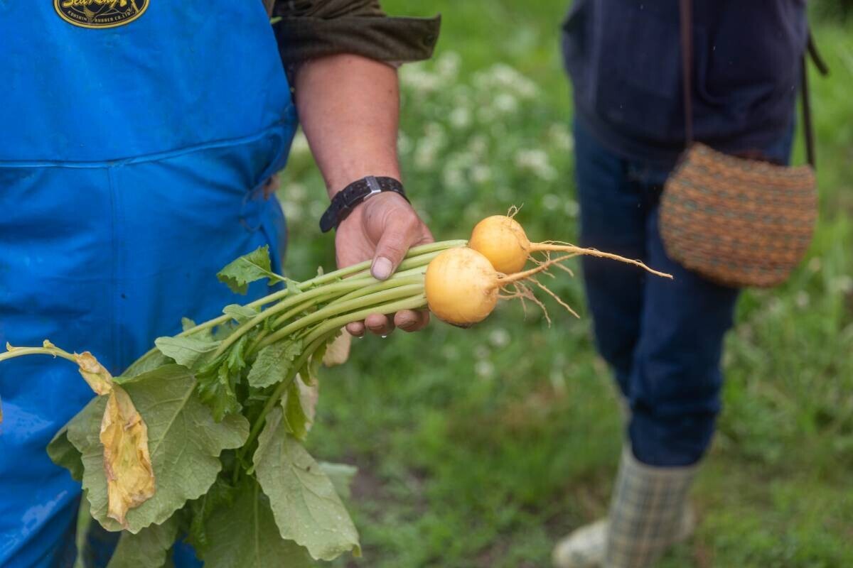 温泉リゾート×地元の野菜農家『一の坊ファーム』始動！自分たちで育てた野菜をお料理に。