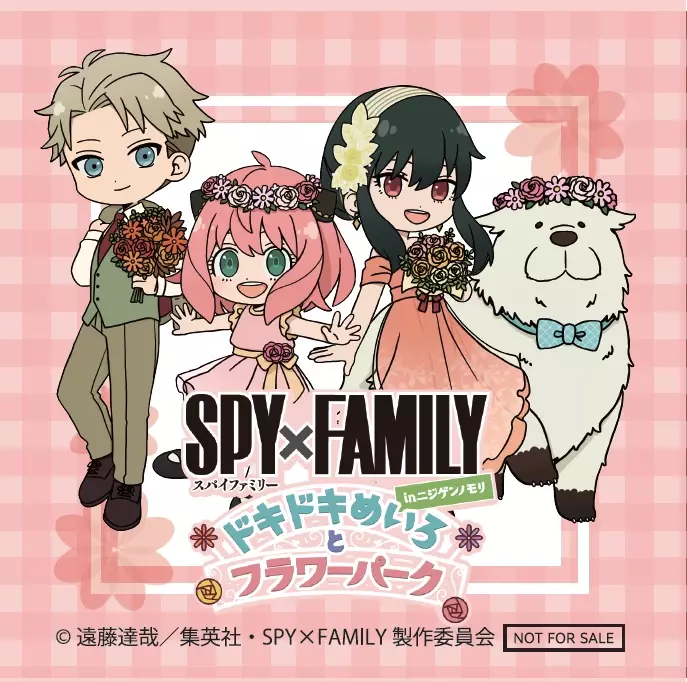 事前入場予約チケット購入者に特典が登場！『SPY×FAMILY inニジゲンノモリ～ドキドキめいろとフラワーパーク～』オリジナルステッカー4種を6月22日より配布開始