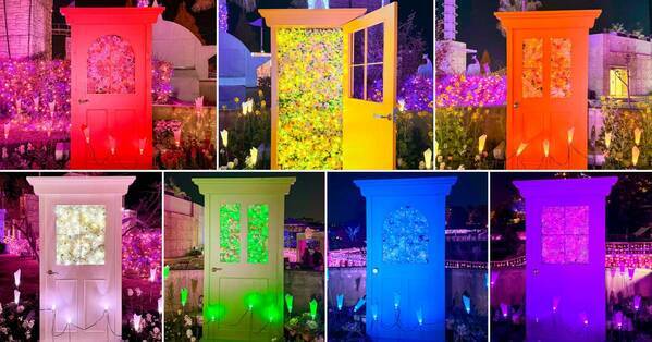 【続報】クリスマスシーズンはひらかたパークで推しとイルミネーション！ 光の遊園地　～Flowering Illumination～