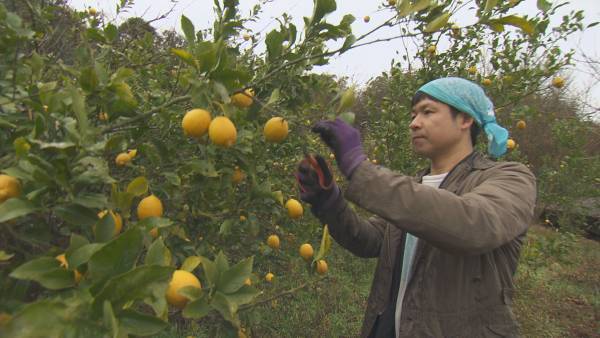 【広島ホームテレビ】お酒の新しい可能性を追求する実業家に密着