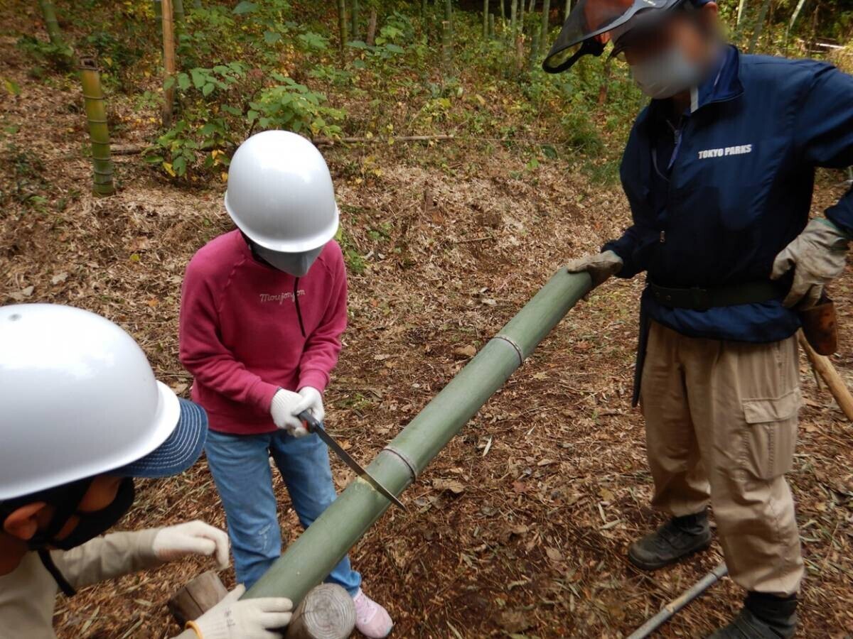 「こども自然学習 －竹を知って、竹で遊ぼう！－ 」9月14日(土)長沼公園で開催！