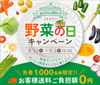 ８月３１日は野菜の日！ ＪＡタウン「野菜の日キャンペーン」でおいしい野菜をたくさん食べよう！ ～先着1,000名様に野菜ボックスを『お客様の送料負担０円』で販売～