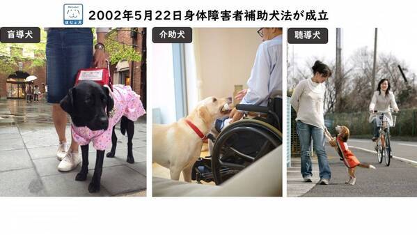 補助犬の理解と支援のために、効果的だと思う啓発活動は？