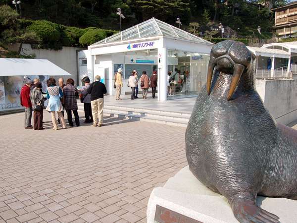 カヌーやプールも楽しめる円山川公苑まで徒歩5分！花火とジェラート券付ファミリープラン予約受付開始。城崎「温もりの宿 ひだまり」