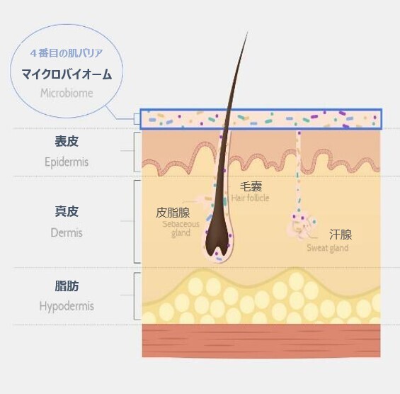 マイクロバイオーム化粧品ブランド、 UIQ（ユイク）が４月１日（月）から始まったQoo10「メガポ」セールに参加、お得なプロモーション実施！