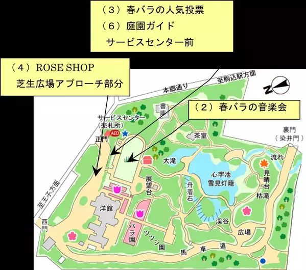 旧古河庭園『春のバラフェスティバル』を開催！ [ 4/26(金)～6/30(日) ]