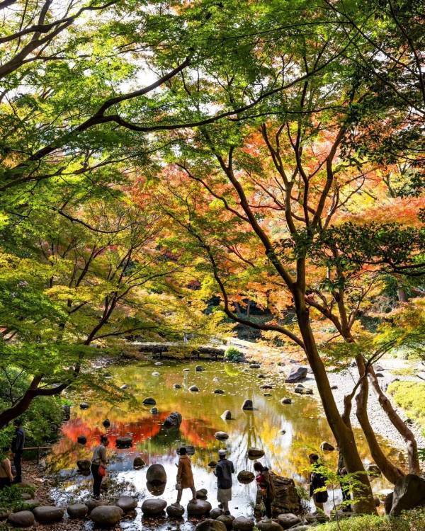 12/23(月)まで応募受付中！秋のTOKYO Instagramフォトコンテスト2024 ～都立公園・庭園・隅田川でたのしむ秋～