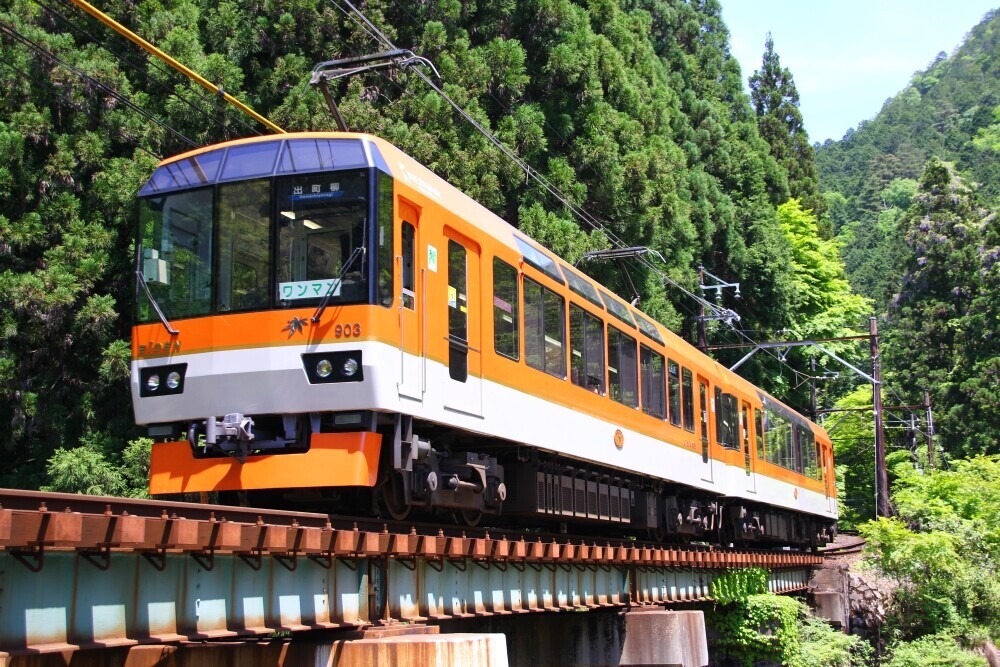 ～ 「もみじのトンネル」を少人数で鑑賞 ～ 「紅葉ライトアップ特別列車」を運行します