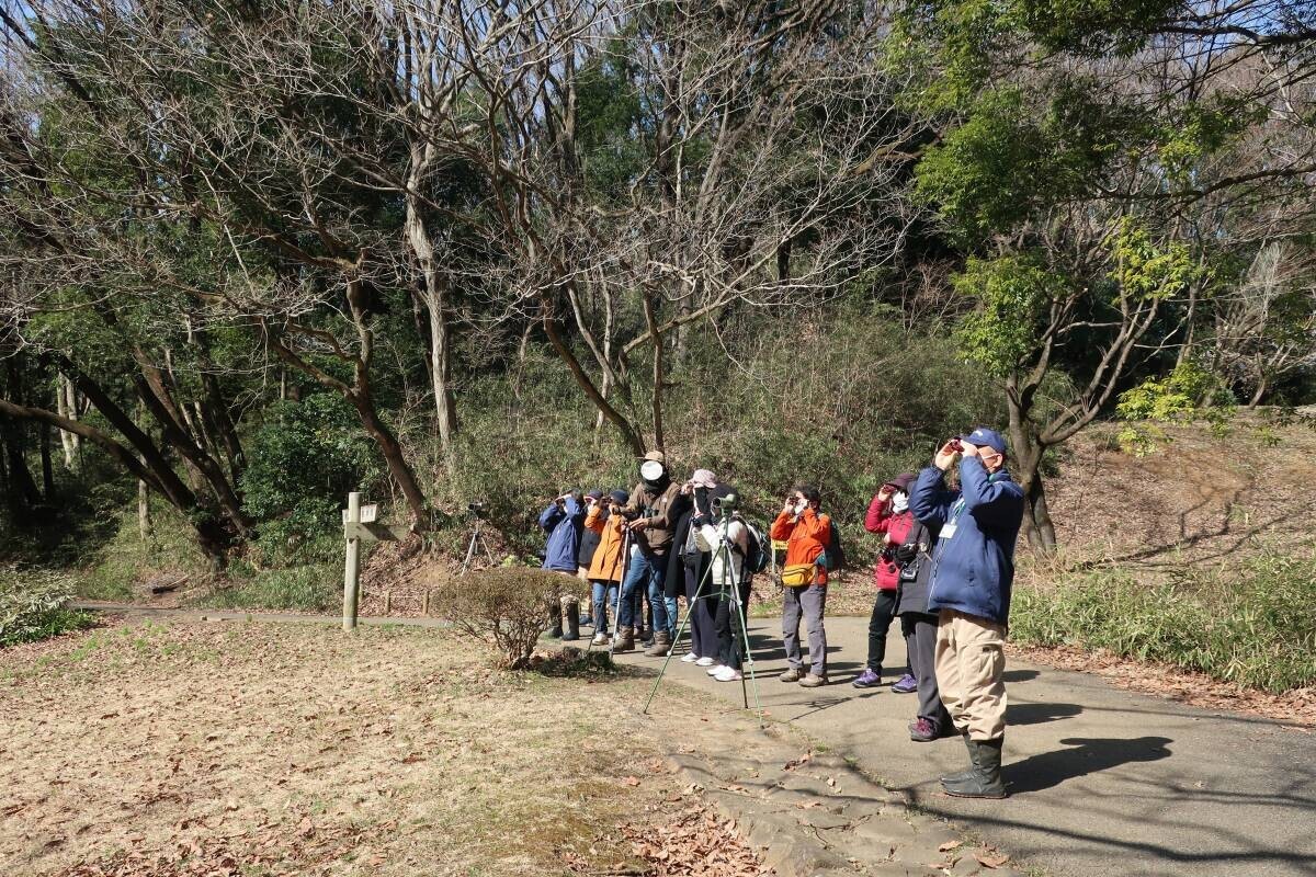 2月24日（土）に小山田緑地にて野鳥観察会を開催します！
