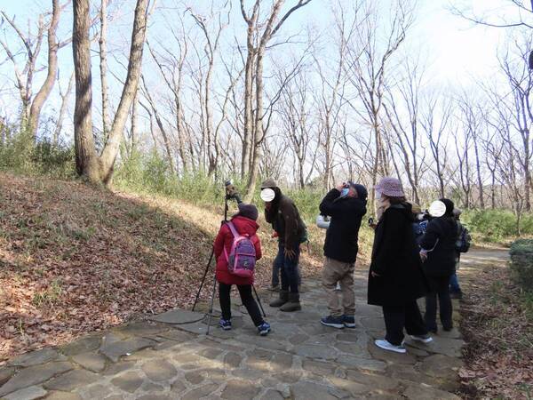 2月24日（土）に小山田緑地にて野鳥観察会を開催します！