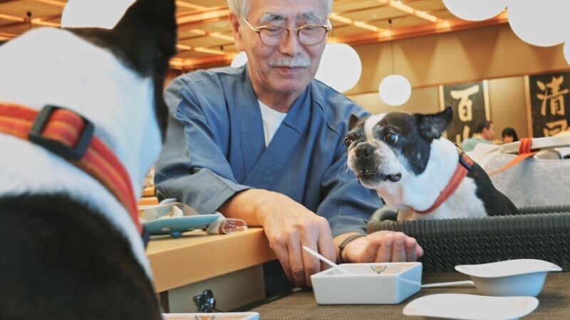 2社が展開する全66施設が【大江戸温泉物語グループ】に！ 「大江戸温泉物語」×「湯快リゾート」 2024年11月1日にブランド統合へ 。日本最大級の「カジュアル温泉宿ブランド」が誕生