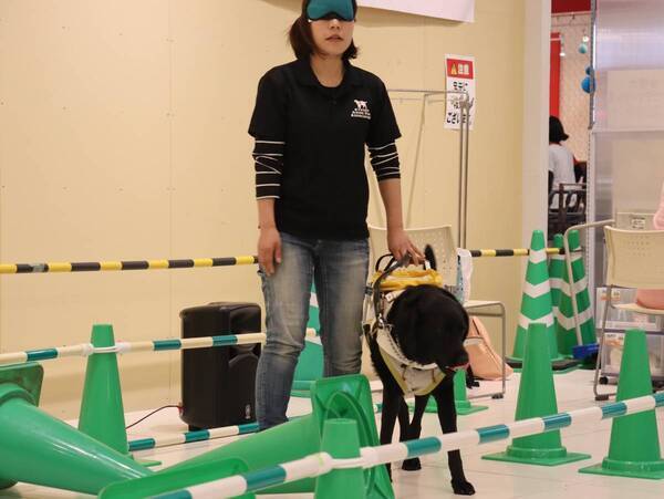 「パリミキ　イオン延岡店・ロービジョン商品体験会」開催のお知らせ