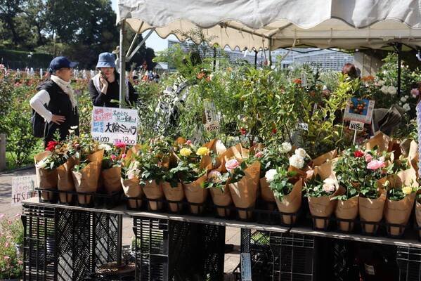 神代植物公園「春のバラフェスタ」～世界の名花が織りなすハーモニー～を5/8～6/2に開催します