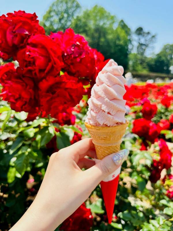 神代植物公園「春のバラフェスタ」～世界の名花が織りなすハーモニー～を5/8～6/2に開催します