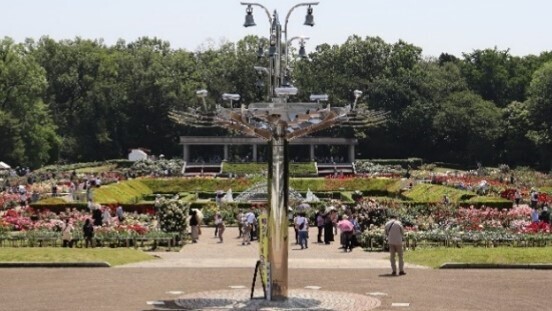 神代植物公園「春のバラフェスタ」～世界の名花が織りなすハーモニー～を5/8～6/2に開催します