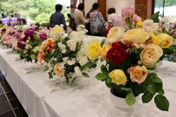 神代植物公園「春のバラフェスタ」～世界の名花が織りなすハーモニー～を5/8～6/2に開催します