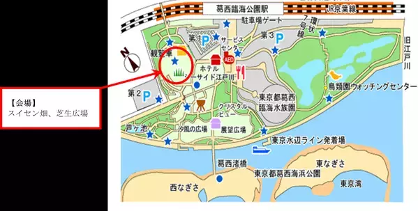 【2/8（土）・2/9（日）】約5万7千球が咲き誇る！葛西臨海公園「水仙まつり」開催