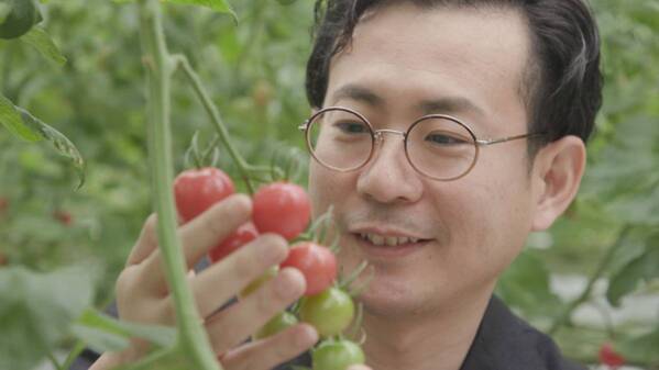 【広島ホームテレビ】トマトのブランド化に挑む肥料メーカーの3代目に密着