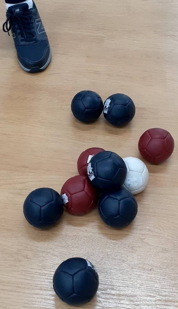 【府中の森公園】3月16日（土）「ボッチャ体験会」を開催します！