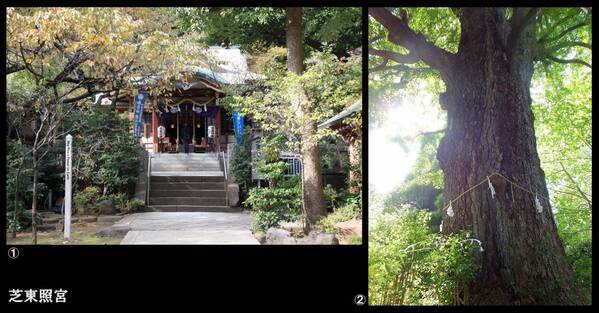 【こまくさweb】で新連載スタート！！「神仏探偵・本田不二雄が案内する『TOKYO地霊WALK』」＜無料公開＞