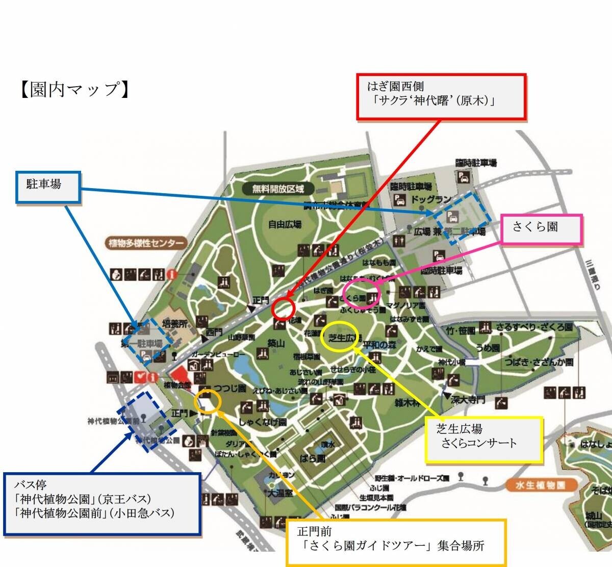 神代植物公園では ‟桜花爛漫”「さくらまつり」を3月23日（土）より開催します。