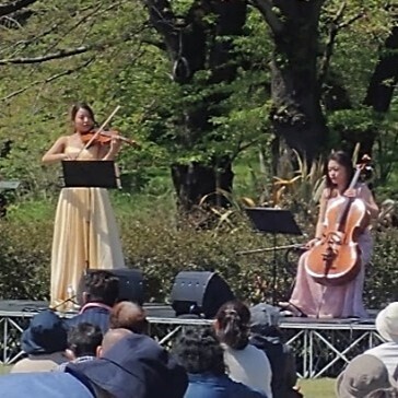 神代植物公園では ‟桜花爛漫”「さくらまつり」を3月23日（土）より開催します。