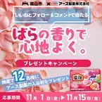 【広島県福山市】１１月１５日まで！市公式インスタグラムプレゼントキャンペーンを実施中！