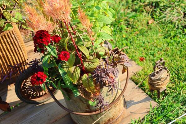 ガーデンコンテスト作品募集！「第22回日比谷公園ガーデニングショー2024」【８月２日（金）締切】